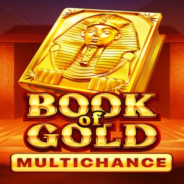 Book of Gold Multichance slot logo by Playson at 711 Casino