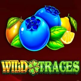 Wild Traces slot visual from Amusnet Interactive available on 711-casino-be.com